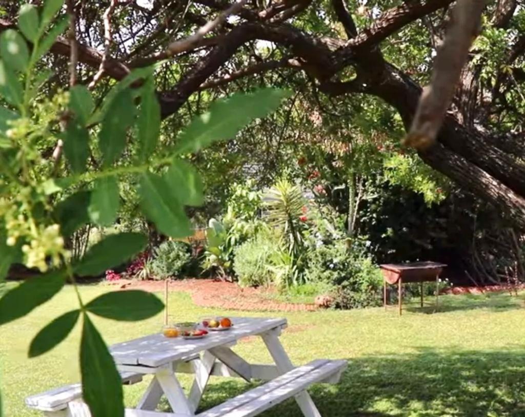 Choice Backpackers Lodge Bulawayo Exterior foto